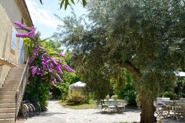 La Gandonne Hotel Caderousse Kültér fotó